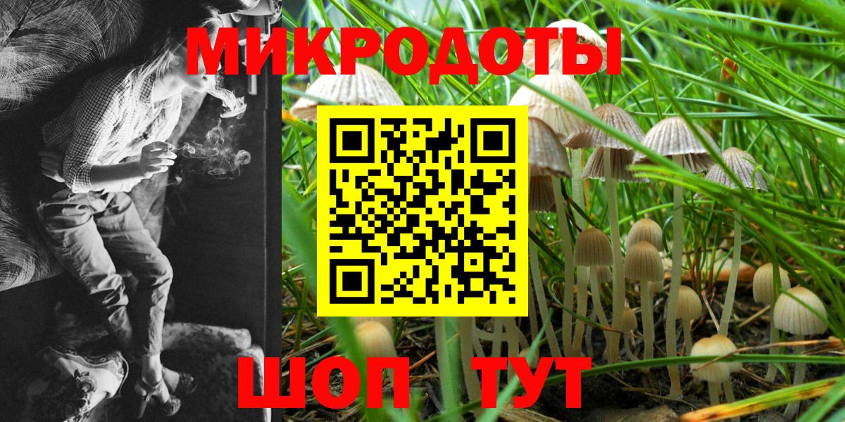 Псилоцибиновые грибы GOLDEN TEACHER Вичуга